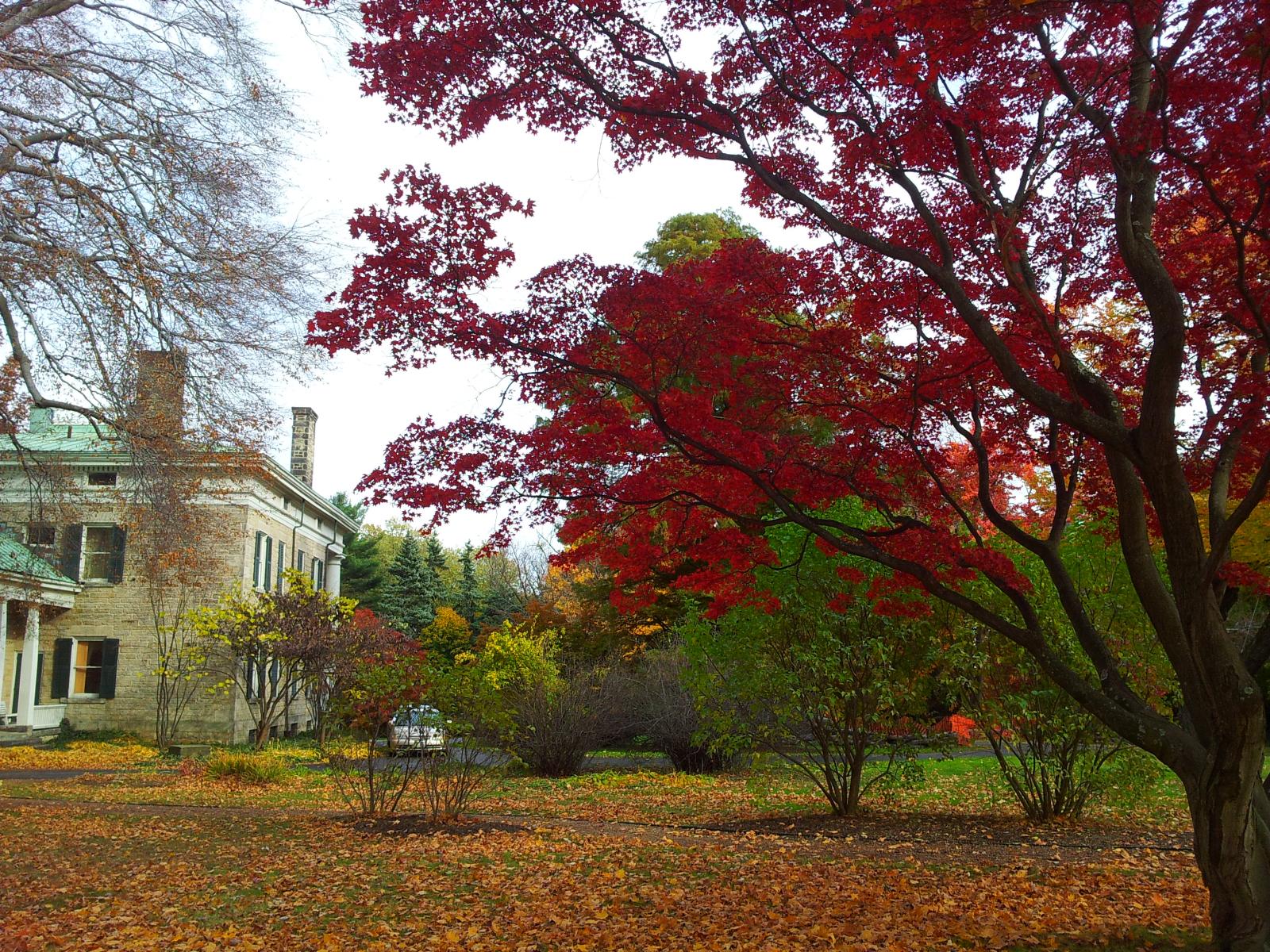 20131105 112544 S Portage Path