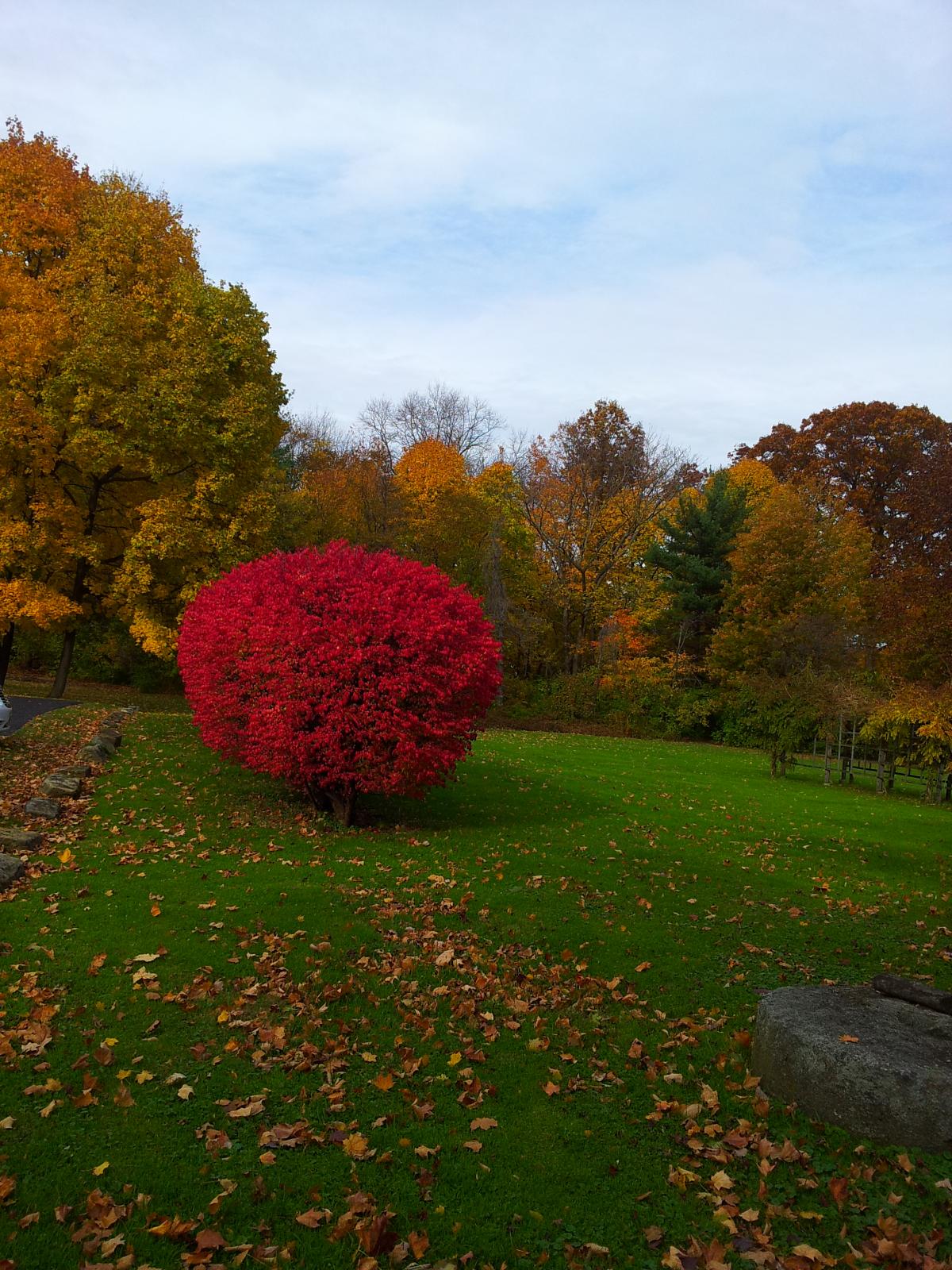 20131105 112730 S Portage Path