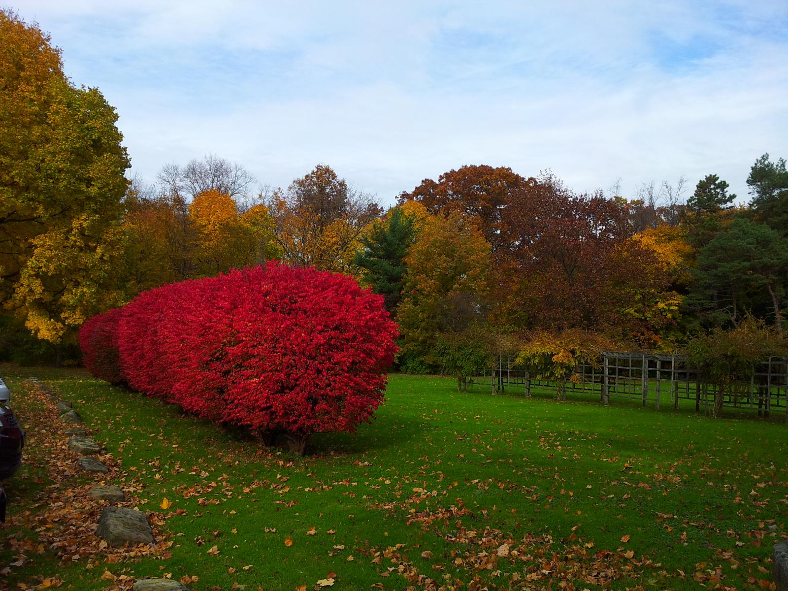 20131105 112743 S Portage Path