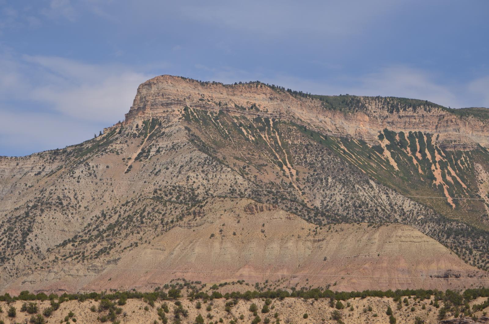 DSC 0379