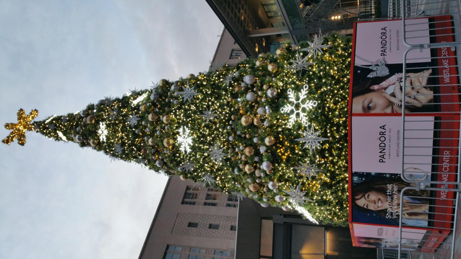 christmastreeseattle20191202 161728