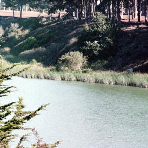 LakeHarris2