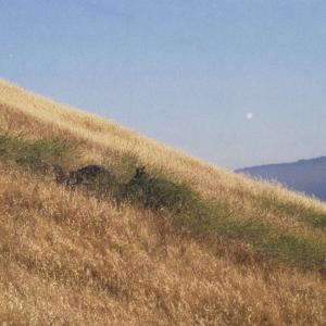 MissionPeakFremont072003-1