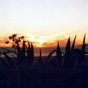 santaMonica20