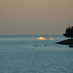 DSC 0191