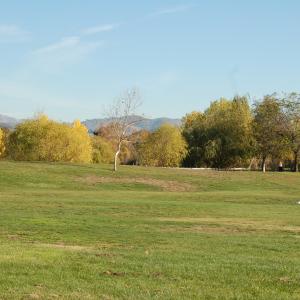 DSC 0009