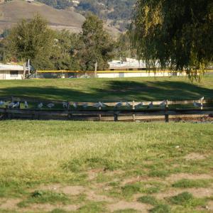 DSC 0063