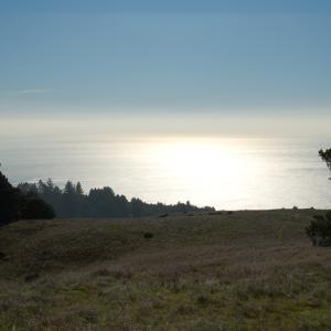 DSC 0021