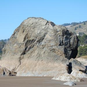 DSC 0045