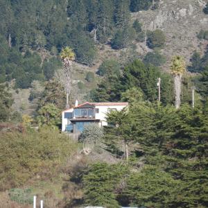 DSC 0053