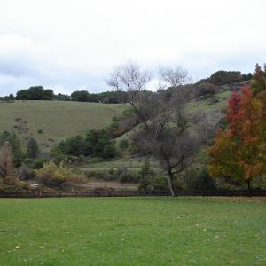 DSC03477