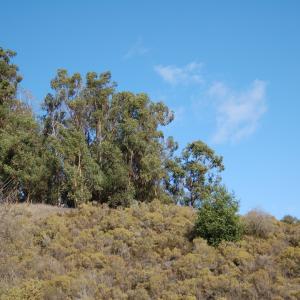 DSC 0073
