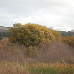 DSC 0091