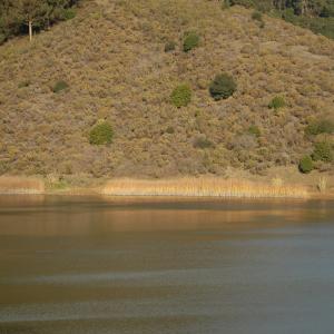 DSC 0114