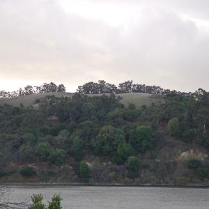 DSC 0127
