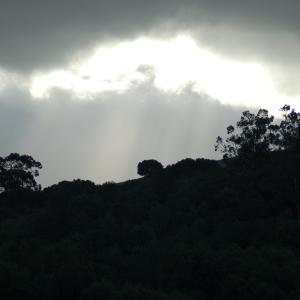 DSC 0134