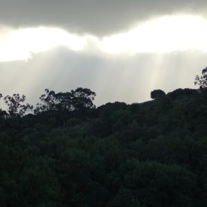 DSC 0138