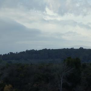 DSC 0144