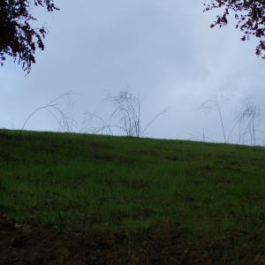DSC 0153
