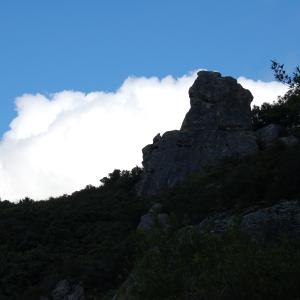DSC 0261