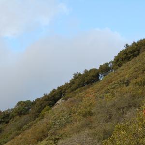 DSC 0299