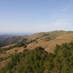 SA700939