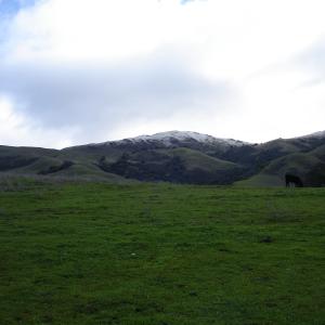 DSC00513