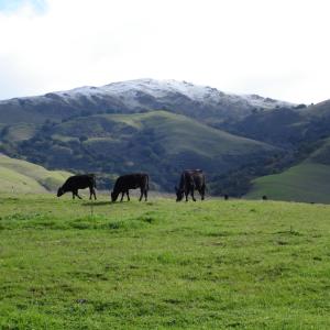 DSC00536