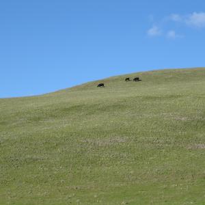 DSC00638