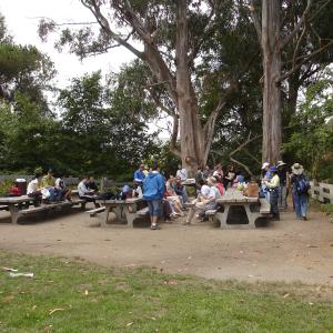 DSC03227