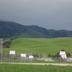 DSC00800