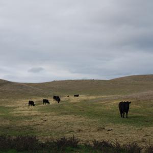 DSC 0033