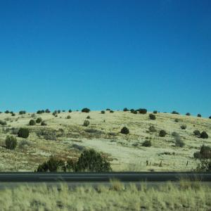 DSC 0005