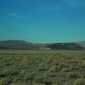 DSC 0059