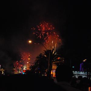 DSC 0114