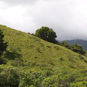 P4220795