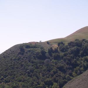 P4291323