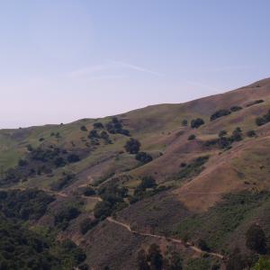 P4291378
