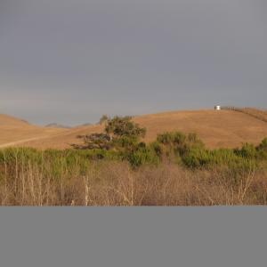 P7161771