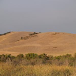 P7161775