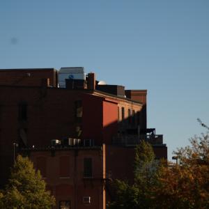PA222341