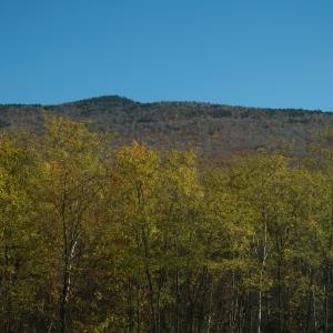 PA222405