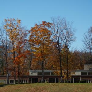 PA222418
