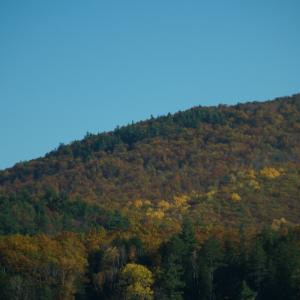 PA222441