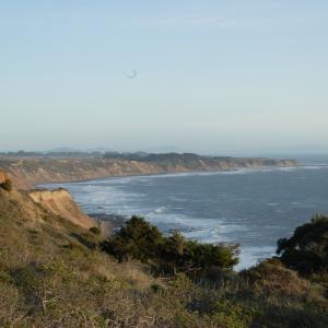 DSC 1212