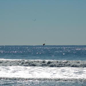DSC 1326