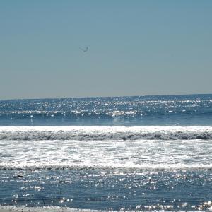 DSC 1342