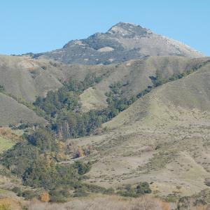 DSC 1351