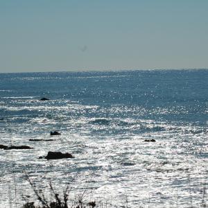DSC 1353