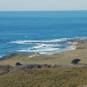 DSC 1432
